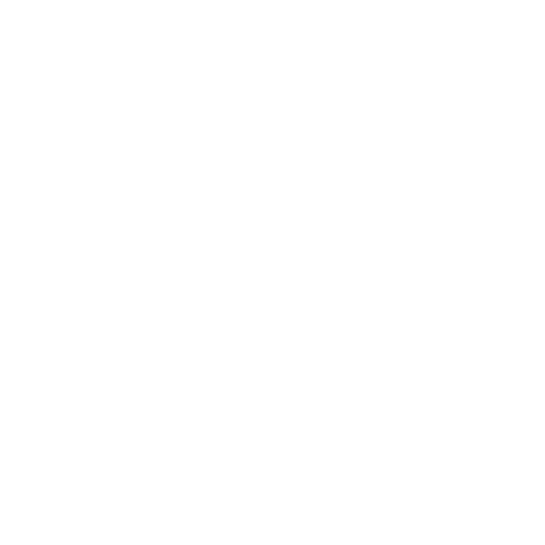 EMS SOLO 10 strippen